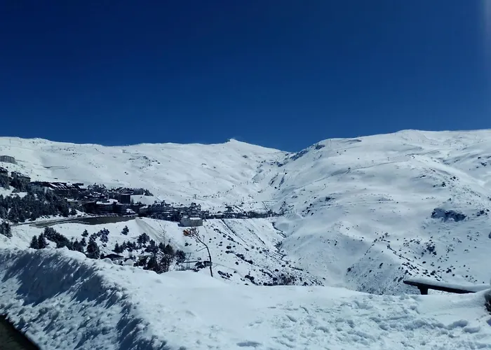 Apartamento Imeda Estudios Valles